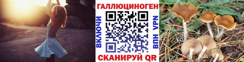 Галлюциногенные грибы мухоморы  Чкаловск 
